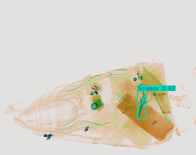 Detection preview by Segmentation_v8_large_300_train_300