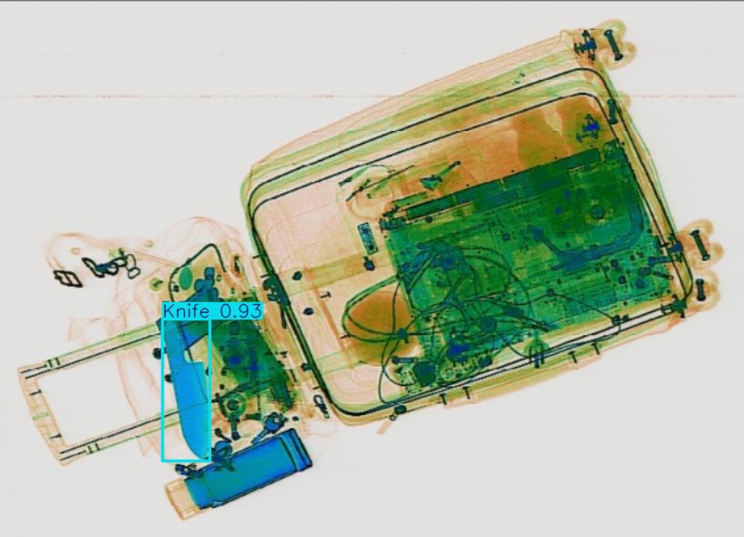 Detection preview by Segmentation_v8_large_300_train_300