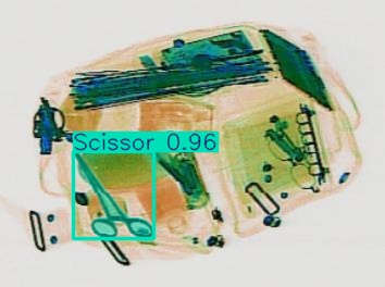 Detection preview by Segmentation_v8_large_300_train_300