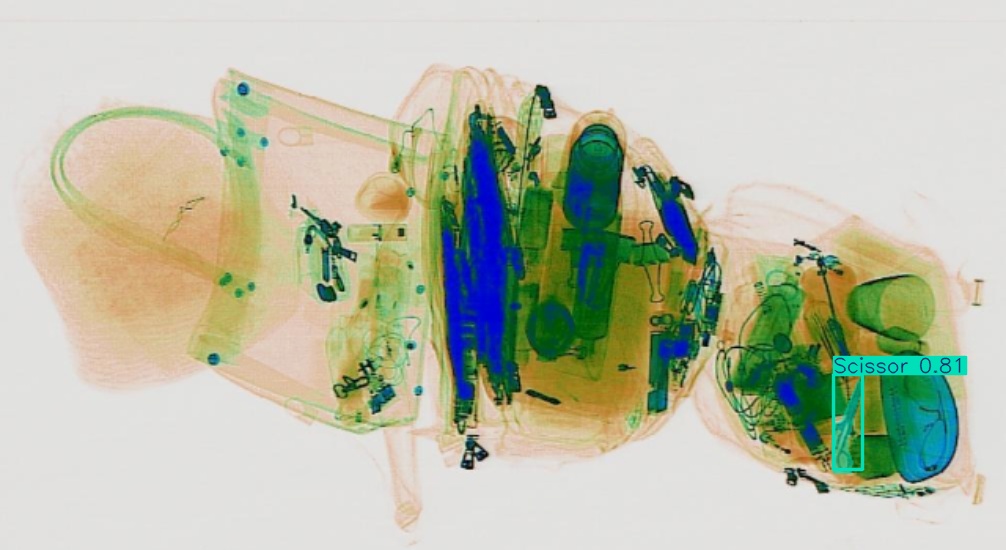 Detection preview by Segmentation_v8_large_300_train_300