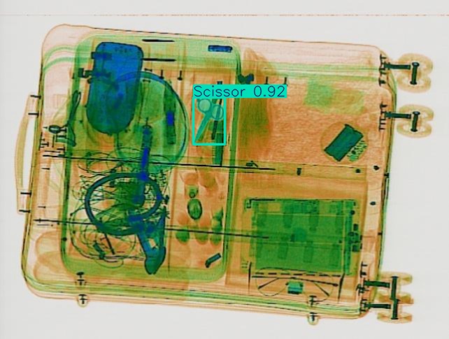 Detection preview by Segmentation_v8_large_300_train_300