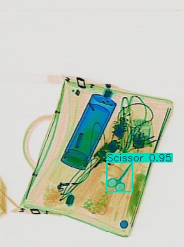 Detection preview by Segmentation_v8_large_300_train_300