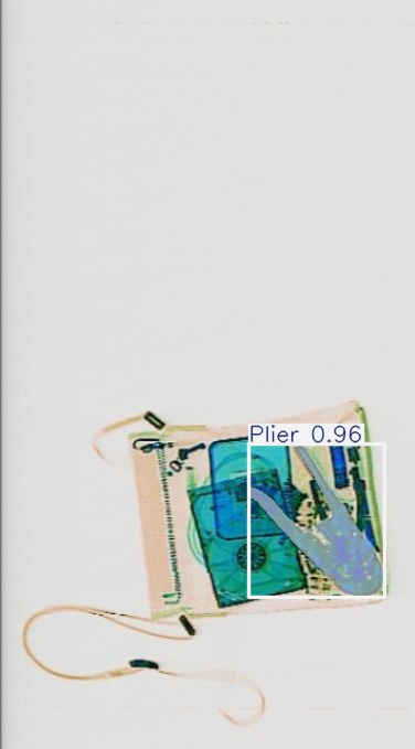 Detection preview by Segmentation_v8_large_300_train_300