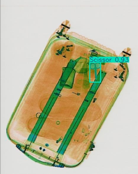 Detection preview by Segmentation_v8_large_300_train_300