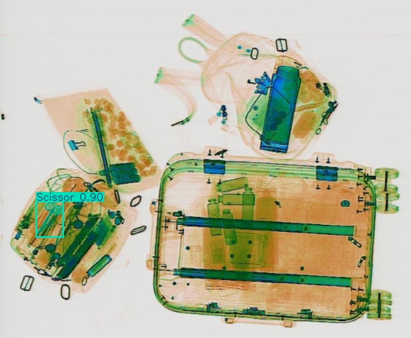 Detection preview by Segmentation_v8_large_300_train_300