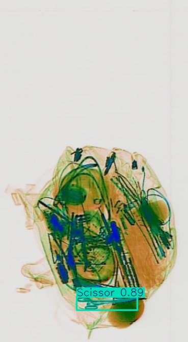 Detection preview by Segmentation_v8_large_300_train_300