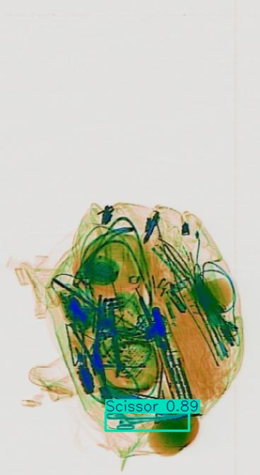 Detection preview by Segmentation_v8_large_300_train_300