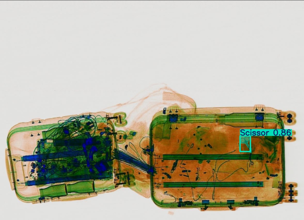 Detection preview by Segmentation_v8_large_300_train_300