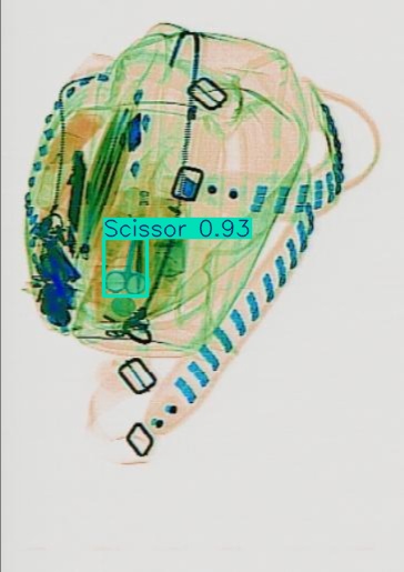 Detection preview by Segmentation_v8_large_300_train_300