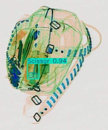 Detection preview by Segmentation_v8_large_300_train_300