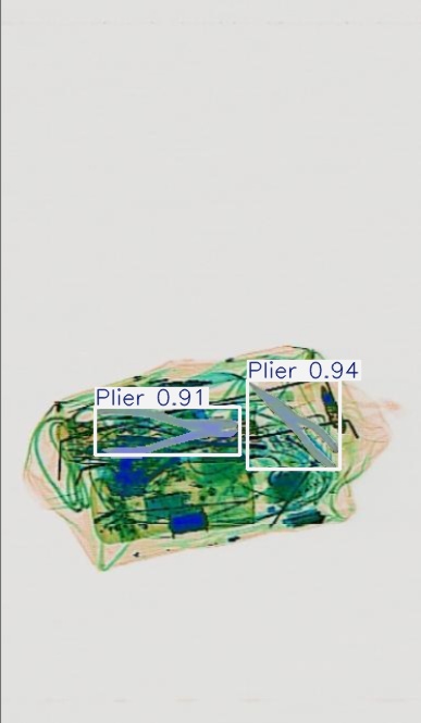Detection preview by Segmentation_v8_large_300_train_300