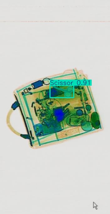 Detection preview by Segmentation_v8_large_300_train_300