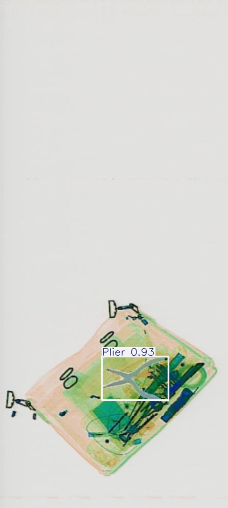 Detection preview by Segmentation_v8_large_300_train_300