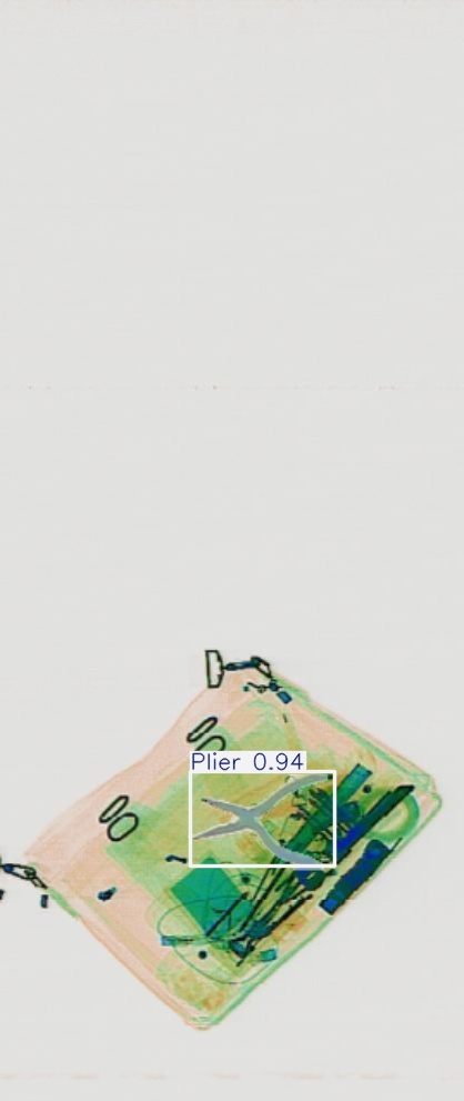 Detection preview by Segmentation_v8_large_300_train_300
