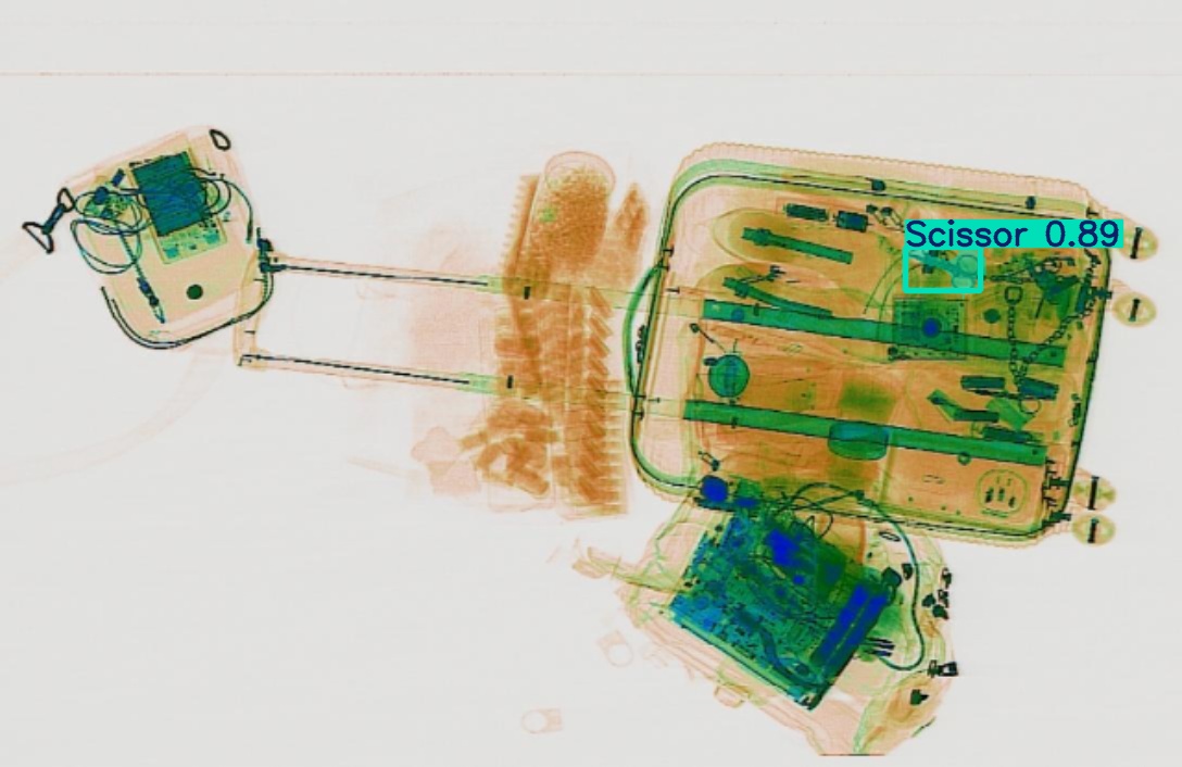 Detection preview by Segmentation_v8_large_300_train_300