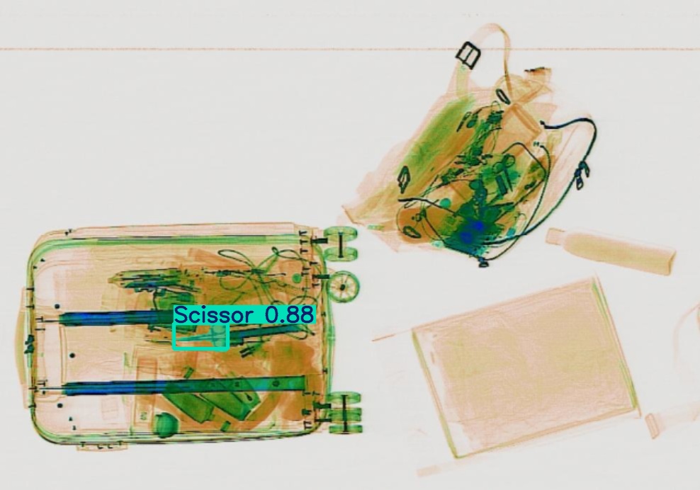 Detection preview by Segmentation_v8_large_300_train_300