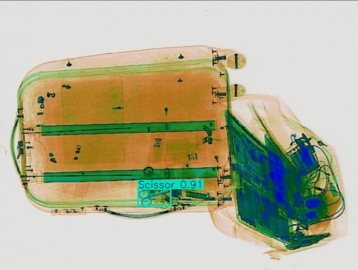 Detection preview by Segmentation_v8_large_300_train_300