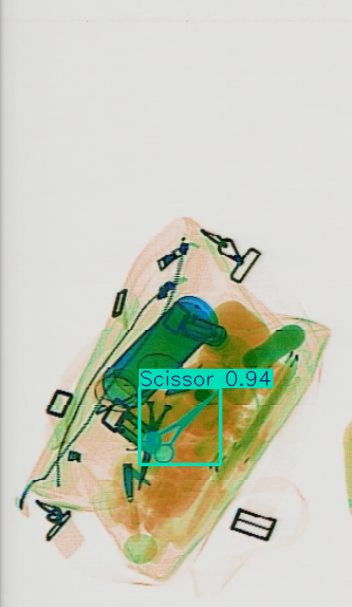 Detection preview by Segmentation_v8_large_300_train_300