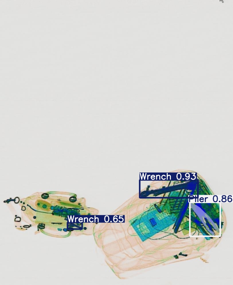 Detection preview by Segmentation_v8_large_300_train_300