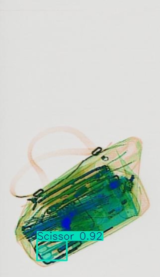 Detection preview by Segmentation_v8_large_300_train_300