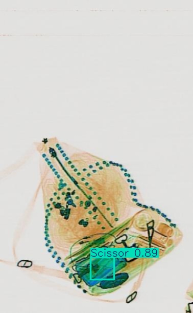 Detection preview by Segmentation_v8_large_300_train_300