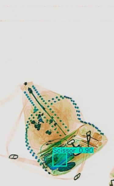 Detection preview by Segmentation_v8_large_300_train_300