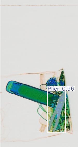 Detection preview by Segmentation_v8_large_300_train_300