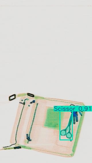 Detection preview by Segmentation_v8_large_300_train_300