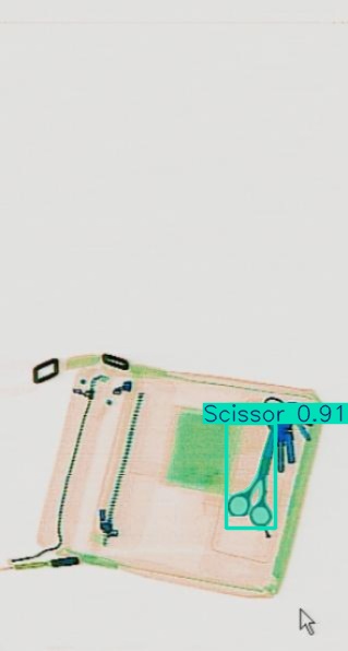 Detection preview by Segmentation_v8_large_300_train_300