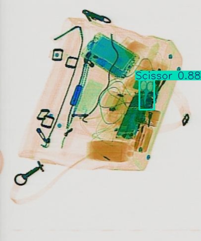 Detection preview by Segmentation_v8_large_300_train_300