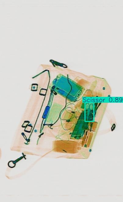 Detection preview by Segmentation_v8_large_300_train_300