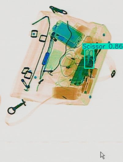 Detection preview by Segmentation_v8_large_300_train_300