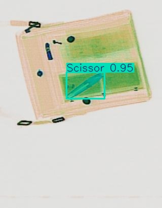 Detection preview by Segmentation_v8_large_300_train_300