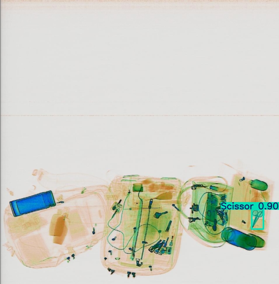 Detection preview by Segmentation_v8_large_300_train_300