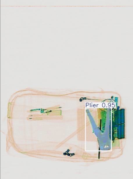 Detection preview by Segmentation_v8_large_300_train_300