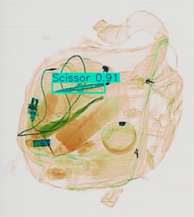 Detection preview by Segmentation_v8_large_300_train_300