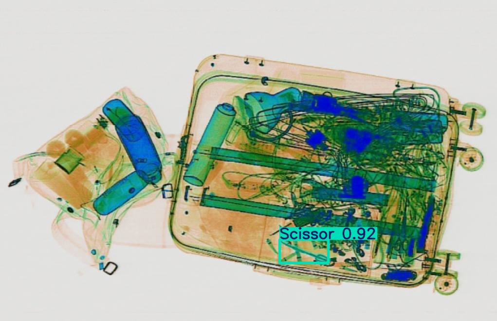 Detection preview by Segmentation_v8_large_300_train_300