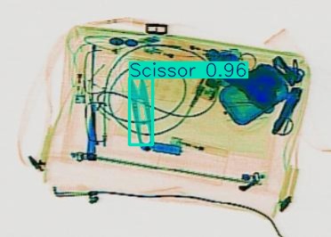 Detection preview by Segmentation_v8_large_300_train_300