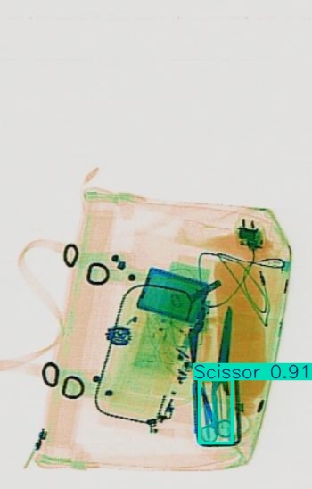 Detection preview by Segmentation_v8_large_300_train_300