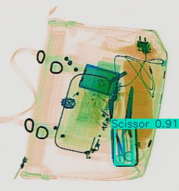 Detection preview by Segmentation_v8_large_300_train_300