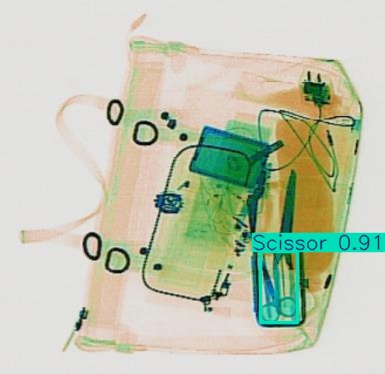 Detection preview by Segmentation_v8_large_300_train_300