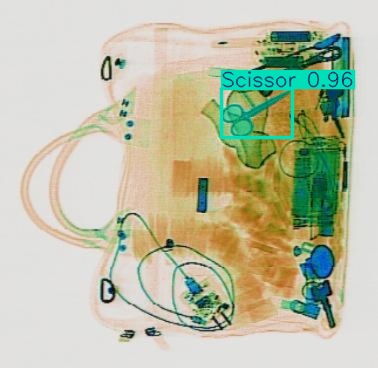 Detection preview by Segmentation_v8_large_300_train_300