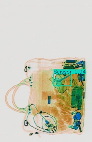 Detection preview by Segmentation_v8_large_300_train_300