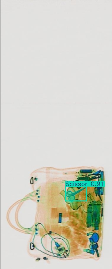 Detection preview by Segmentation_v8_large_300_train_300