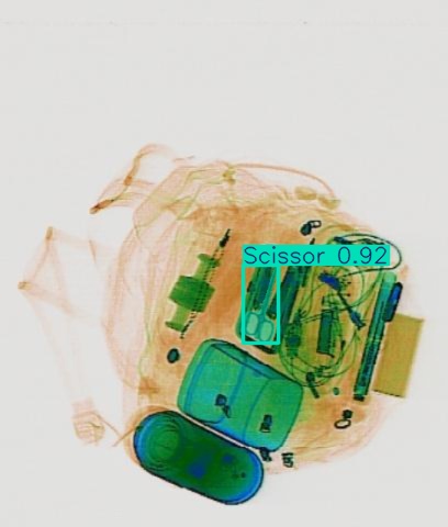 Detection preview by Segmentation_v8_large_300_train_300