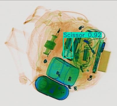 Detection preview by Segmentation_v8_large_300_train_300