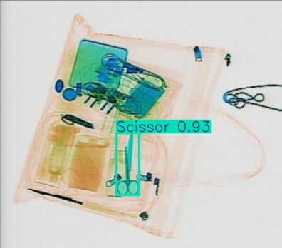 Detection preview by Segmentation_v8_large_300_train_300