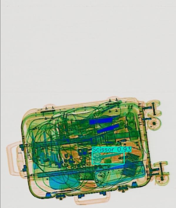 Detection preview by Segmentation_v8_large_300_train_300