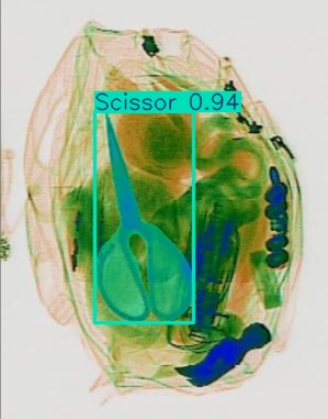 Detection preview by Segmentation_v8_large_300_train_300