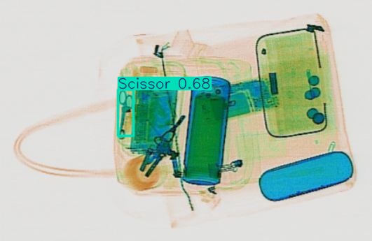 Detection preview by Segmentation_v8_large_300_train_300